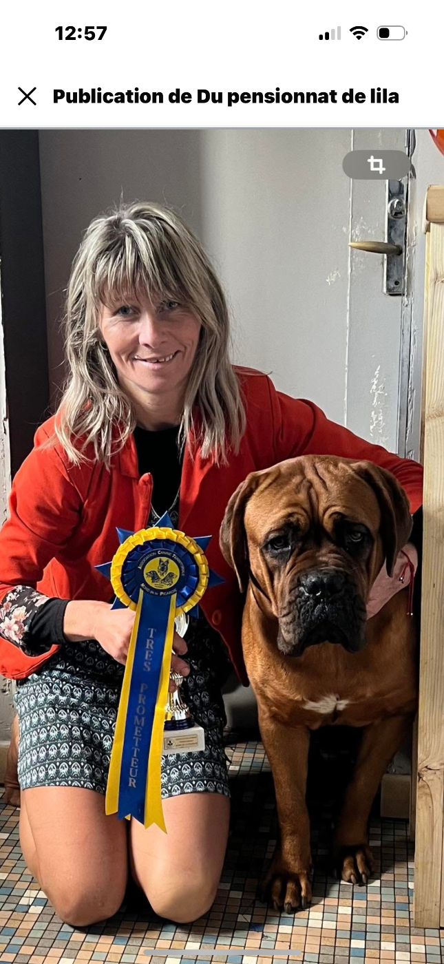 Uperla Titre Initial